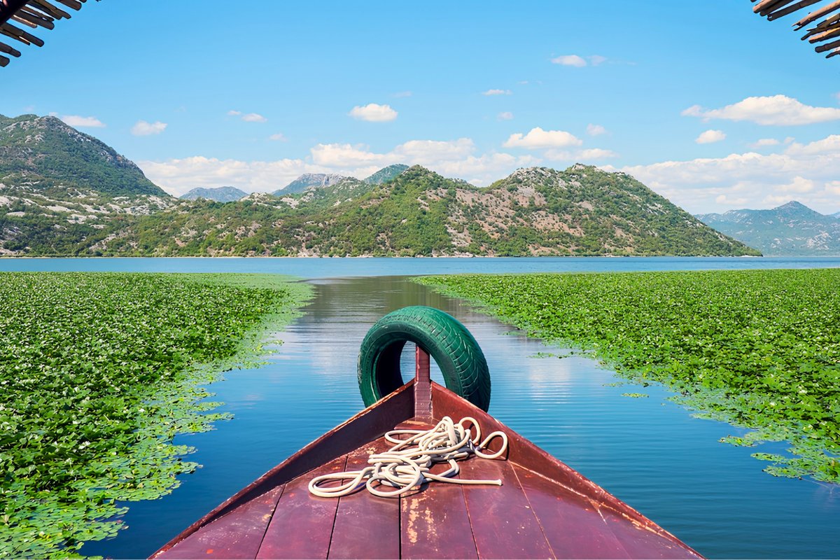Skadar Lake Montenegro