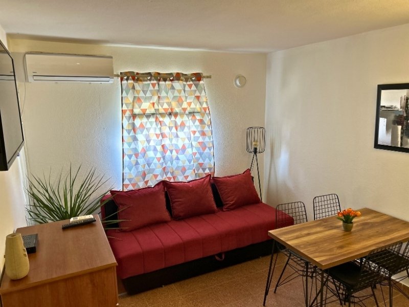 Olivo — photo 3